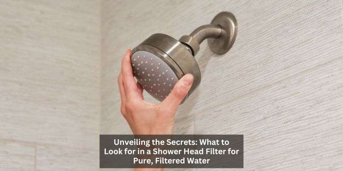 How to Choose the Right Shower Head Filter for Your Needs