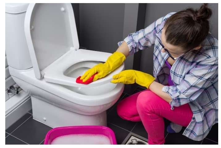 How to Clean a Toilet Seat Properly