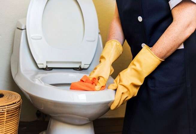 How to Clean and Maintain a Toilet Seat Cover