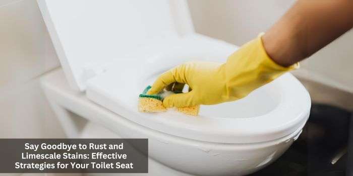 How to Prevent Rust and Limescale Stains on Your Toilet Seat