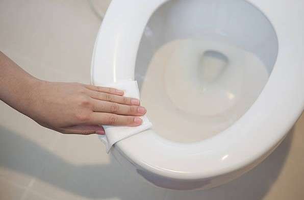 How to Remove Rust and Limescale Stains from Toilet Seats