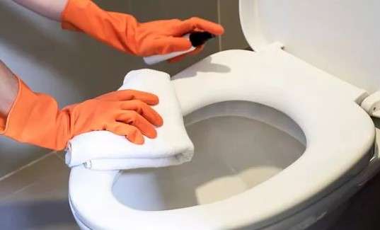 How to maintain a polypropylene toilet seat