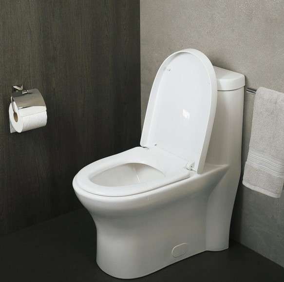 Porcelain toilet seat