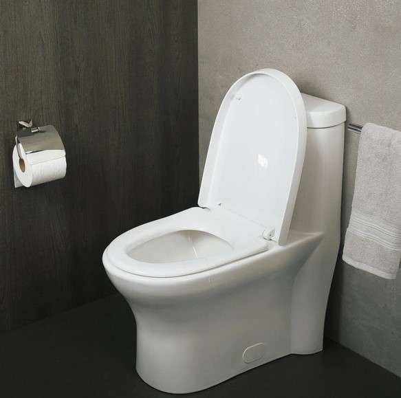 The Most Durable Material for a Toilet Seat 4 Porcelain toilet seat