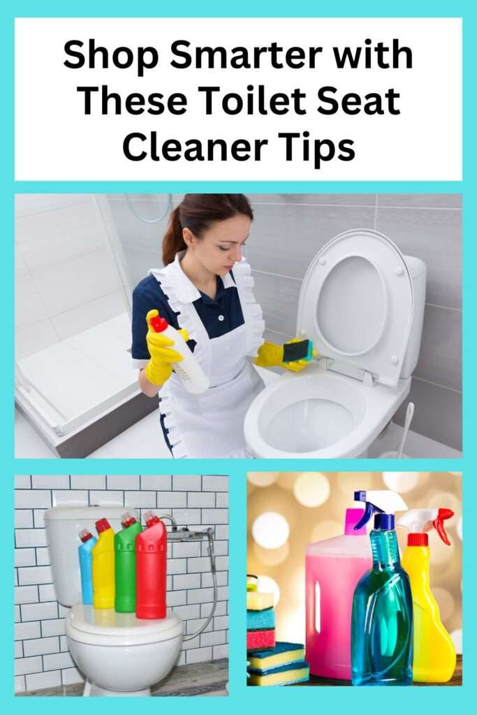 Toilet Seat Cleaners