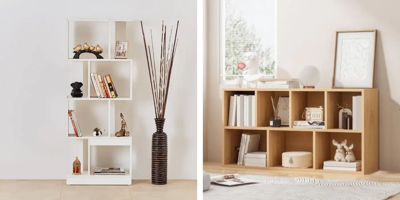 Bookshelves in Living Room