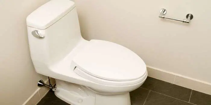 Best Low Profile Toilets For Your Home
