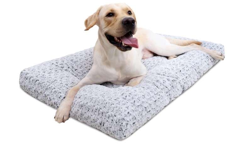 Washable Dog Bed Deluxe Plush