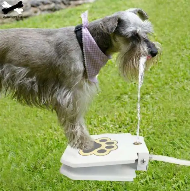 Dog Water Fountain Outdoor Drinking Water Toy for Large Dogs