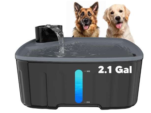 Dog Water Fountain for Large Dogs
