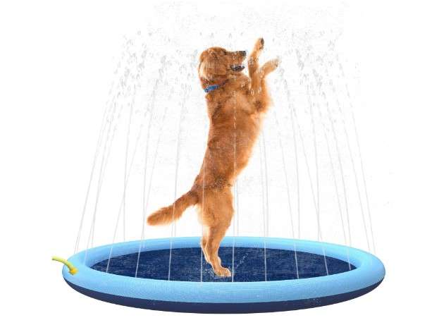 The Best Water Toys for Dogs of All Sizes and Breeds 1 Splash Sprinkler Pad for Dogs and Kids