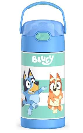 The Best Kids Stainless Steel Water Bottles: A Buyers Guide 1 THERMOS FUNTAINER Water Bottle with Straw