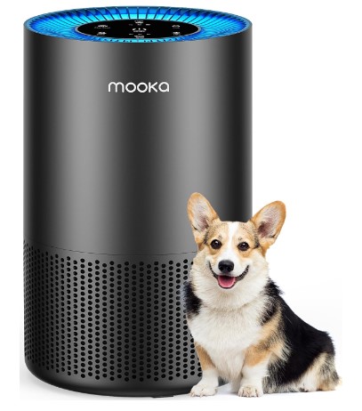 10 Best Air Purifiers Every Pet Owner Needs for a Cleaner Home 7 Air Purifiers for Home Large Room Pets