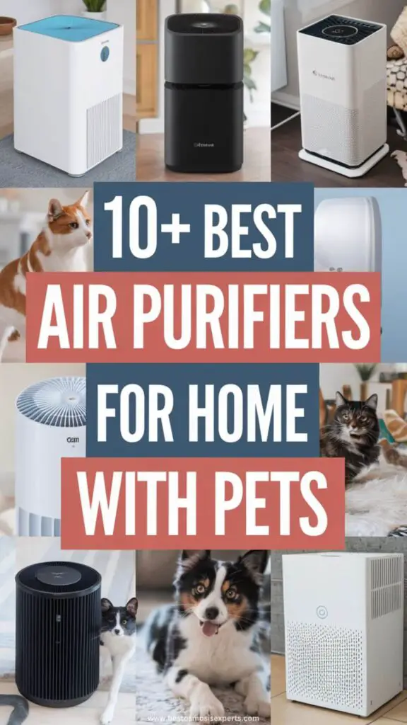 10 Best Air Purifiers Every Pet Owner Needs for a Cleaner Home 13 Best Air Purifiers for Homes with Pets