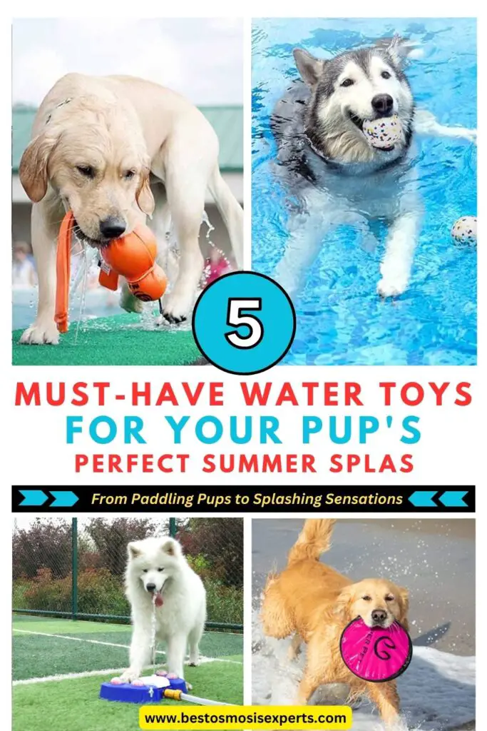 The Best Water Toys for Dogs of All Sizes and Breeds 11 Best Water Toys for Dogs
