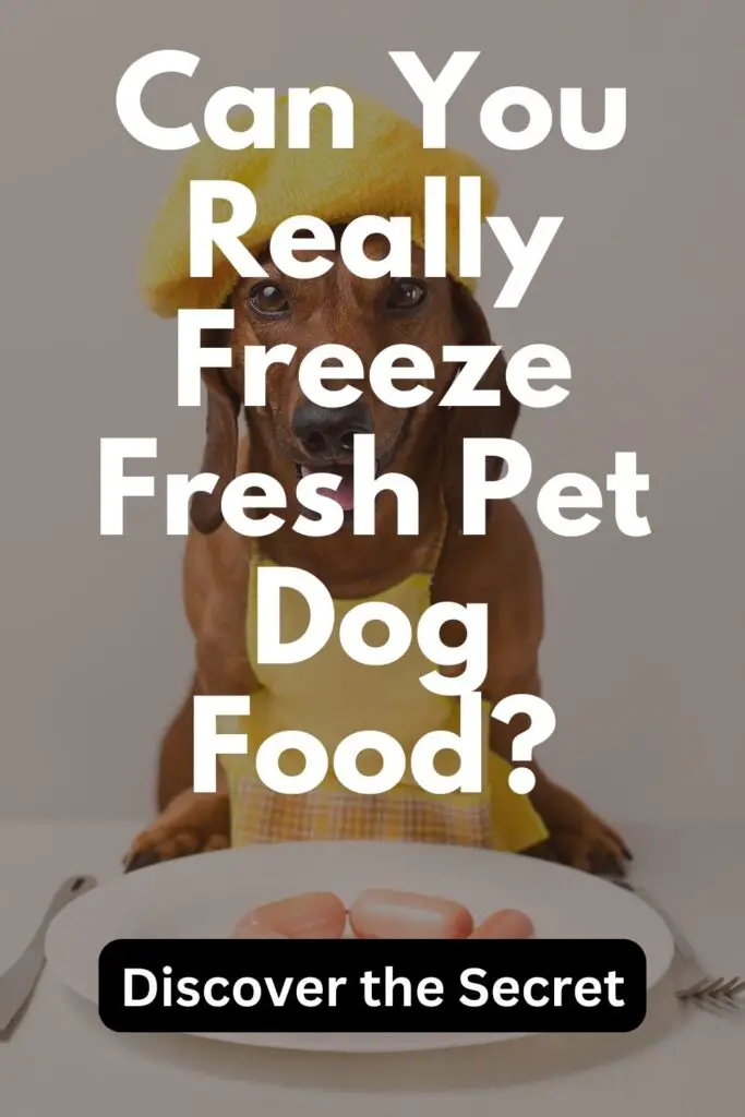 Can You Freeze Fresh Pet Dog Food? The Definitive Answer 2 Can You Freeze Fresh Pet Dog Food