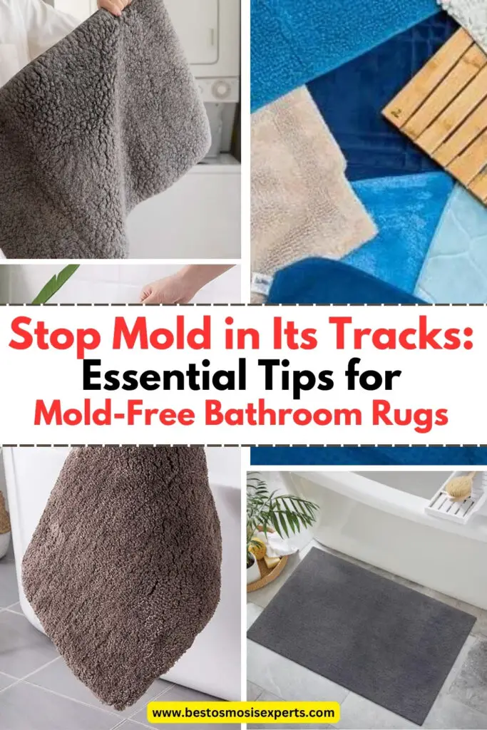 Prevent Mold on Bathroom Rugs with These 4 Easy Steps 4 Prevent Mold on Bathroom Rugs