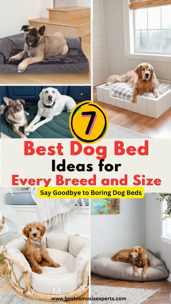 Best Dog Bed Ideas for Every Breed and Size 11 Best Dog Bed Ideas for Every Breed and Size