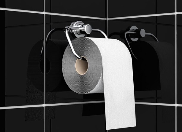 How to Install a Toilet Paper Holder in a Small Bathroom 1 Choose the Right Toilet Paper Holder