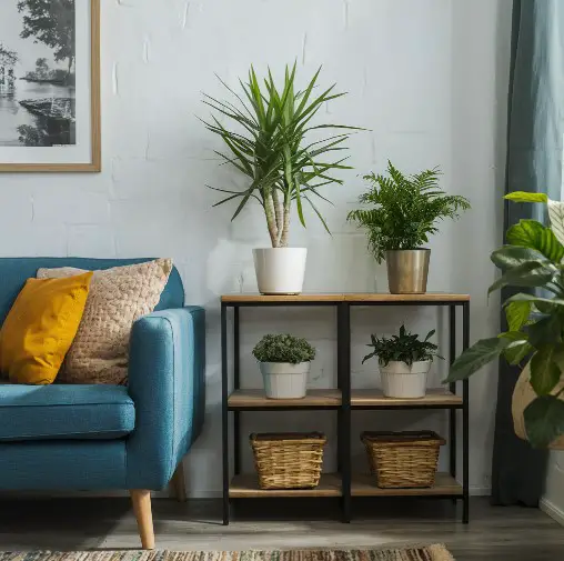Group Plants on Shelves