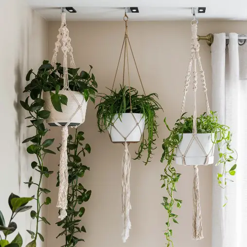 Utilize Hanging Planters