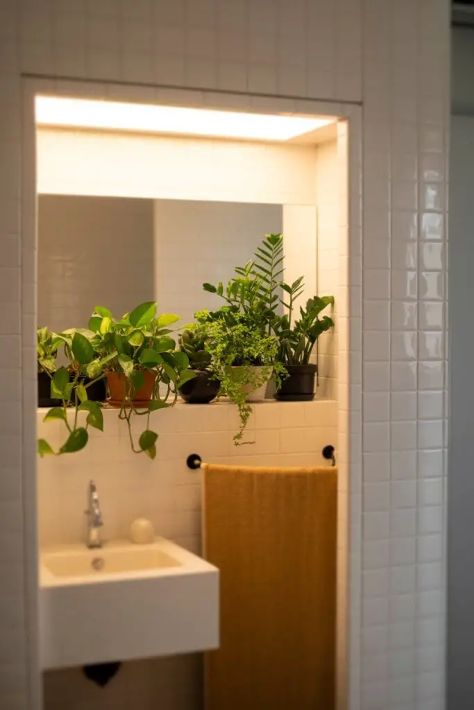 Add Plants for Freshness (Yes, Even Without Sunlight)